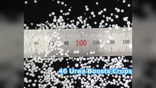 Tingkatkan Tanaman: Pupuk Urea 46% Untuk Petani