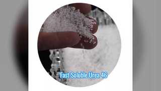 Pupuk Urea Prill 46% Cepat Larut